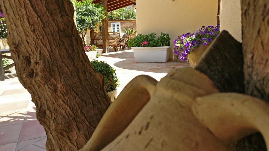 B&B Villa Maiolica San Leone Buitenkant foto